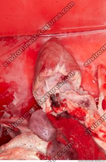 Photo Textures of RAW Pork Viscera